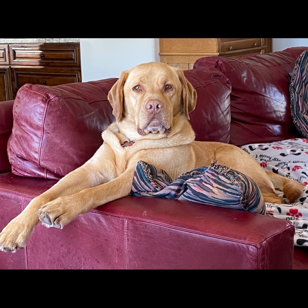 Meet your Posher, Duffy